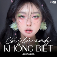 Chỉ Là Anh Không Biết (Remix) (Single)