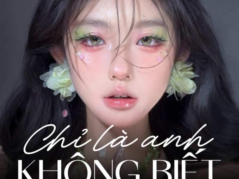 Chỉ Là Anh Không Biết (Remix) (Single)