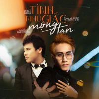 Tình Như Giấc Mộng Tan (Single)