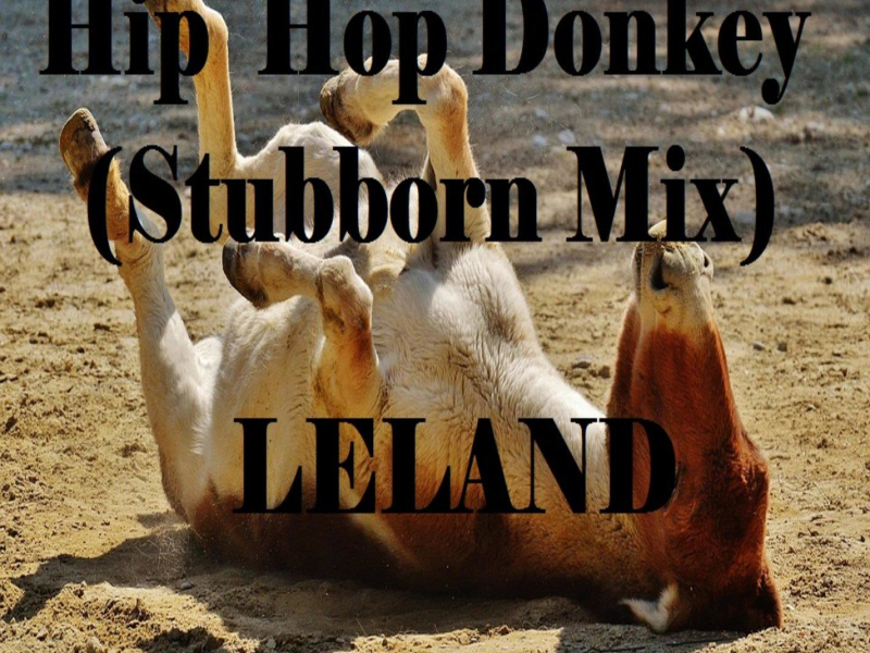 Hip Hop Donkey (Stubborn Mix) (Single)