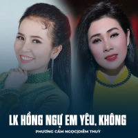 LK Hồng Ngự Em Yêu, Không (Single)
