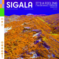 It's A Feeling (Sigala VIP Mix) (Single)
