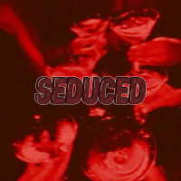 SEDUCED 2026 (Rave) (Single)