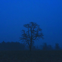 nothing left inside (Single)