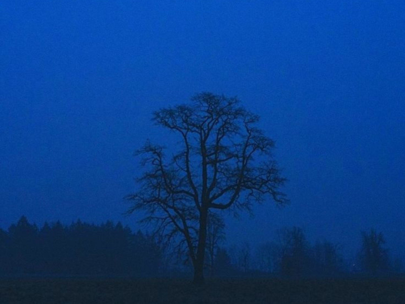 nothing left inside (Single)