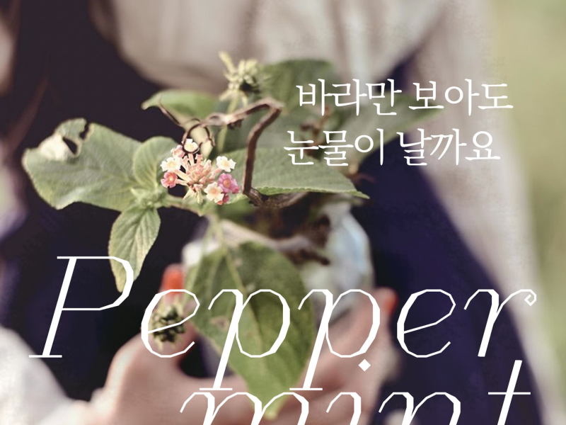 바라만 보아도 눈물이 날까요 (Single)