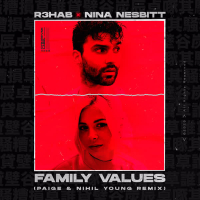 Family Values (Paige & Nihil Young Remix) (Single)