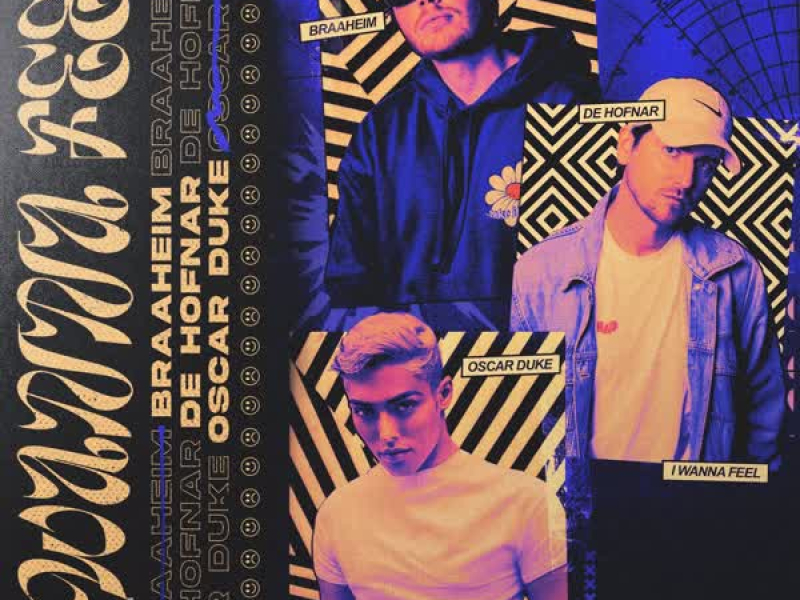 I Wanna Feel (Single)