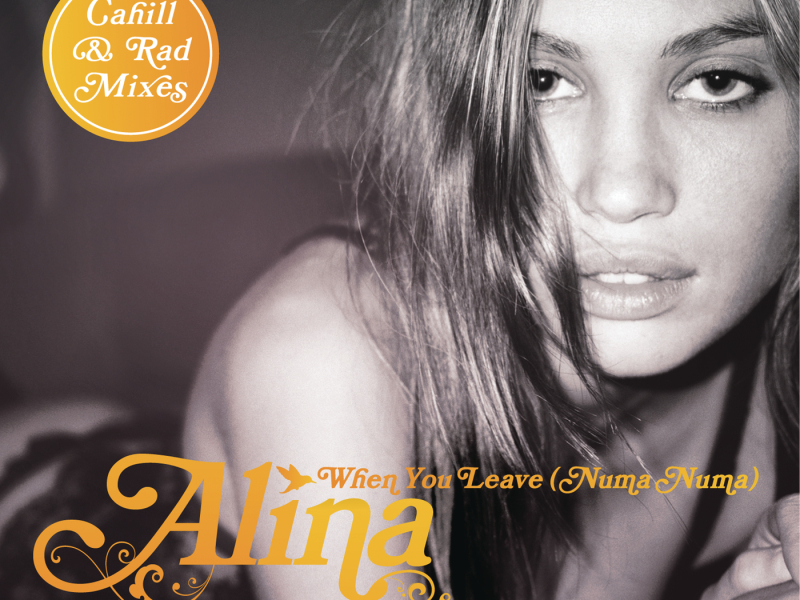 When You Leave (Numa Numa) [Remixes Part 2]