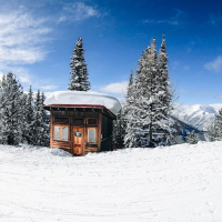 Walking on a Dream (Single)