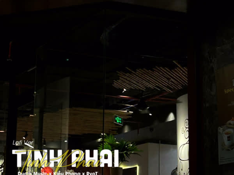 Tình Phai (Lofi Ver) (Single)