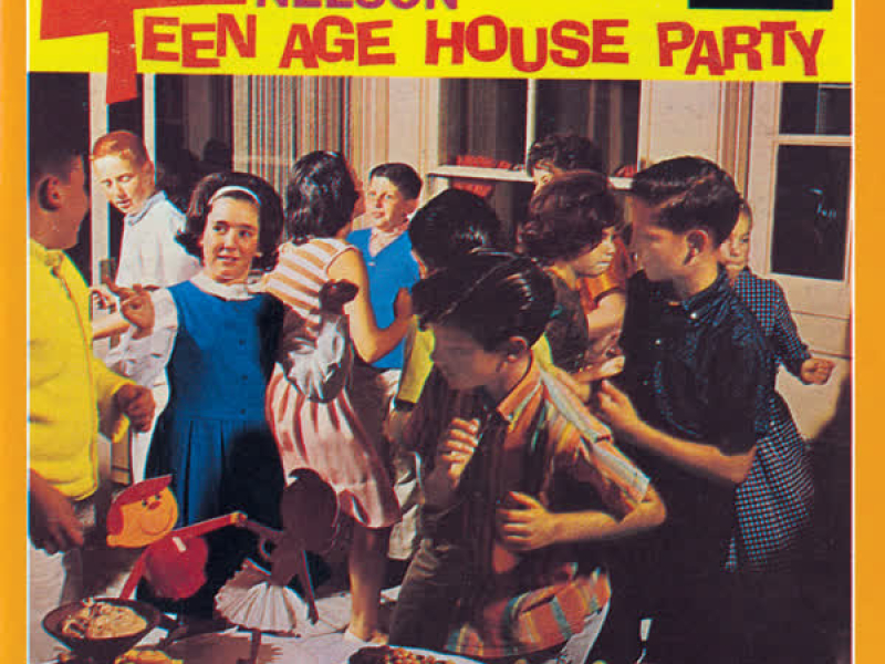 Teenage House Party