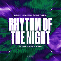 Rhythm Of The Night (Single)