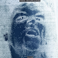 Otrygg provanställning (Single)