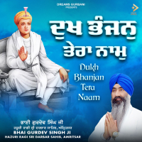 Dukh Bhanjan Tera Naam (Single)