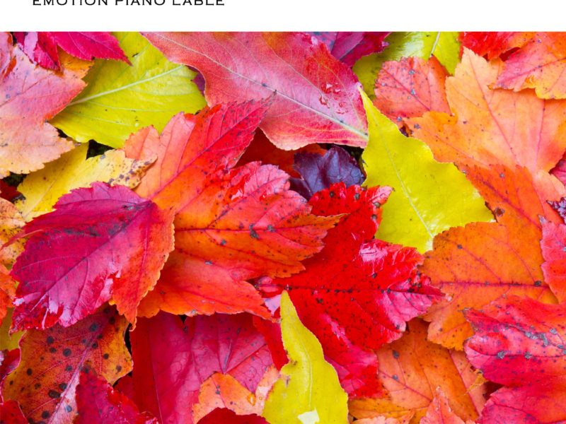 Story Of November (Single)