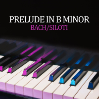 Prelude in B Minor (Transcr. Siloti - Prelude in E Minor BWV 855a) (Single)