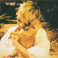 Barking Dogs (Single)