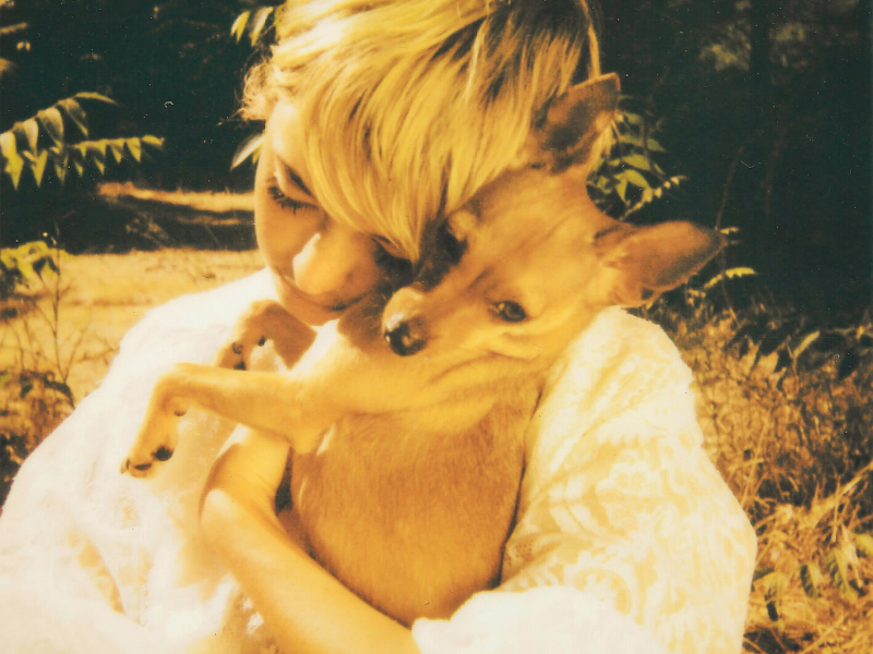 Barking Dogs (Single)