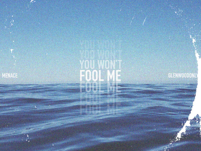 You Won't, Fool Me (Single)