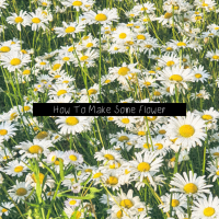 How To Make Some Flower (Single)