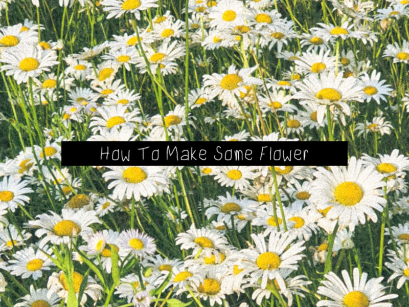 How To Make Some Flower (Single)