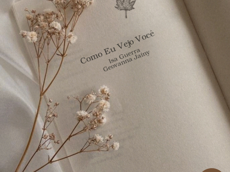 Como Eu Vejo Você (Single)