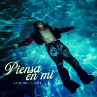 Piensa En Mi (Single)