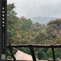 Forest (Single)