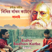 Bidhir Badhon Katbe (Single)