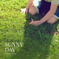 Sunny Day (Single)