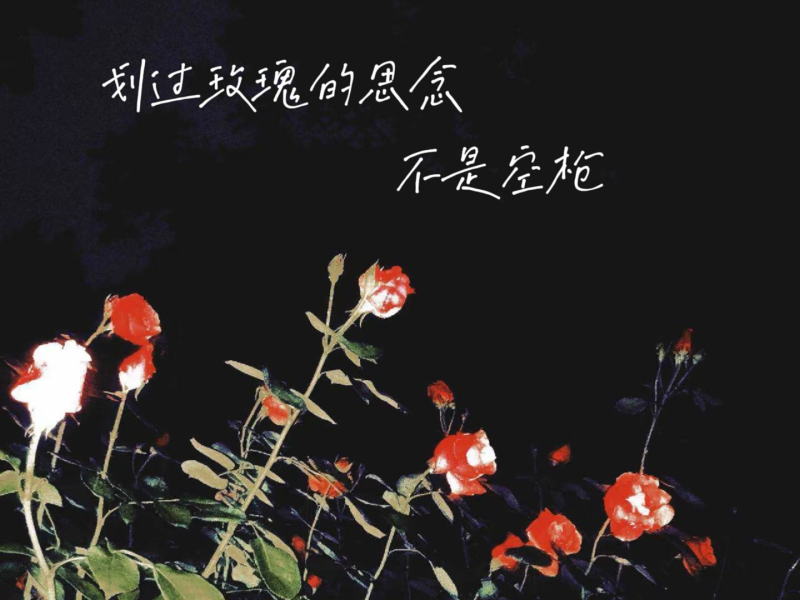 划过玫瑰的思念不是空枪 (Single)