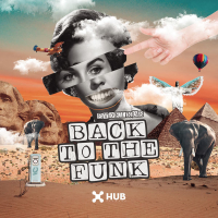 Back To The Funk (Single)