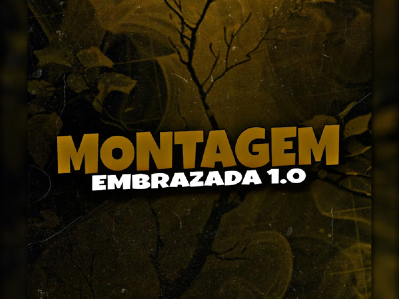 Montagem Embrazada 1.0 (Single)