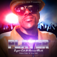 Player (Single)