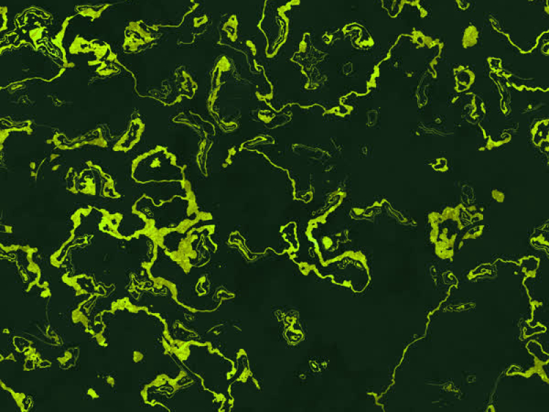 Uranium Enrichment (Champions Cup NA) (EP)