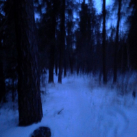 lost forever (Single)