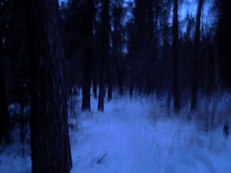 lost forever (Single)