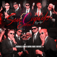 Seu Cupido Errou Bye Bye Bye (Single)