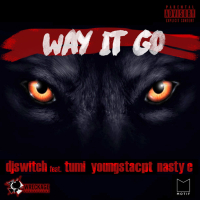 Way It Go (Single)