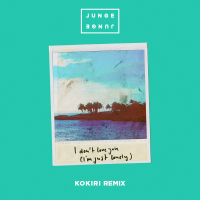 I Don't Love You (I'm Just Lonely) (Kokiri Remix) (Single)