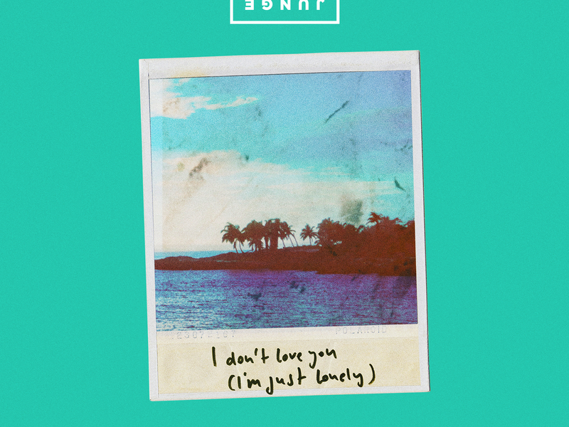 I Don't Love You (I'm Just Lonely) (Kokiri Remix) (Single)