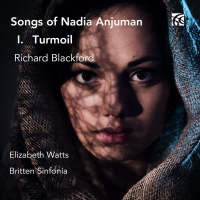 Songs of Nadia Anjuman: No. 1, Turmoil (Single)