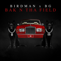 BAK N THA FIELD (Single)