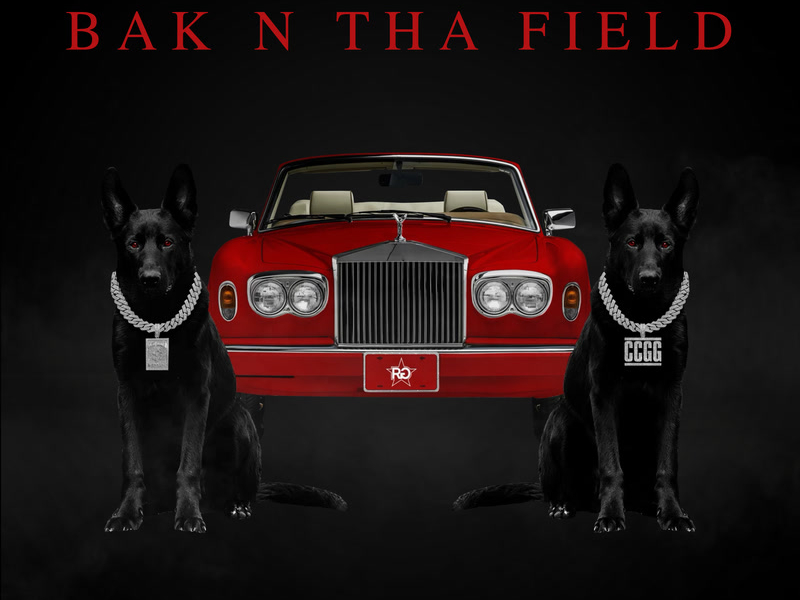 BAK N THA FIELD (Single)