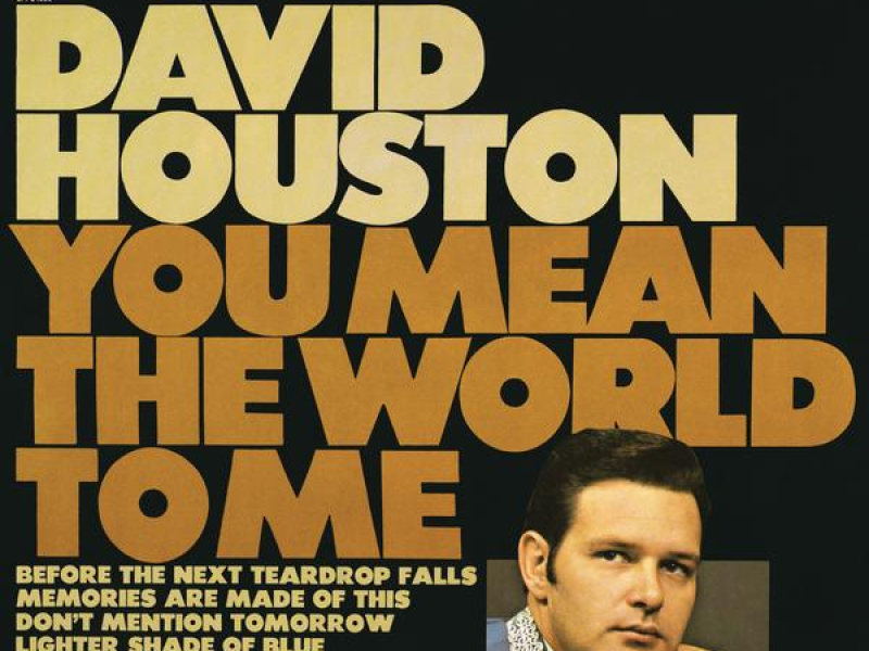 You Mean the World to Me