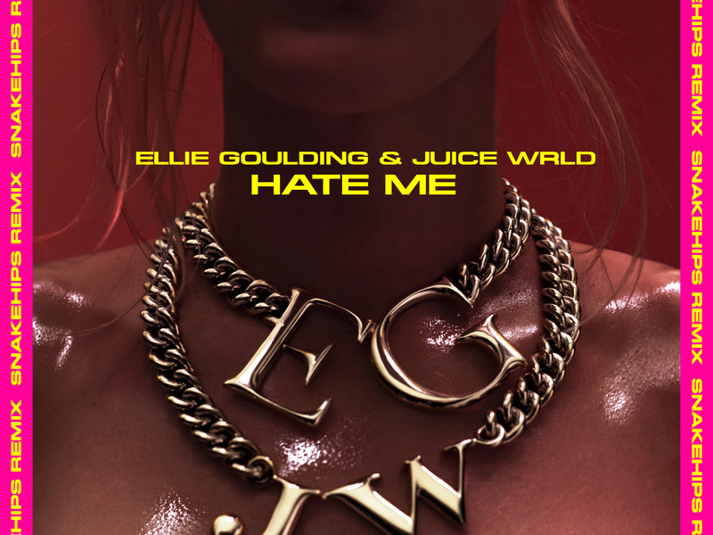 Hate Me (Snakehips Remix) (Single)