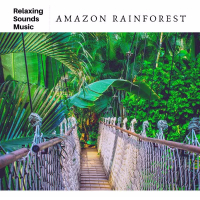 Amazon Rainforest (Single)