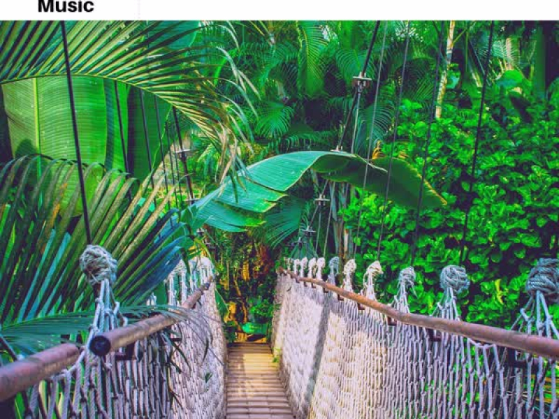 Amazon Rainforest (Single)