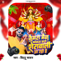 Camera Man Focus Karo Sherawali Aa Rahi Hai (Single)